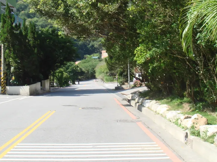 天祥道路縮圖